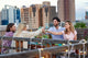Friends Enjoying Cocktails Wall Decal