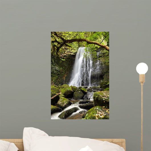 Matai Falls, New Zealand Wall Mural