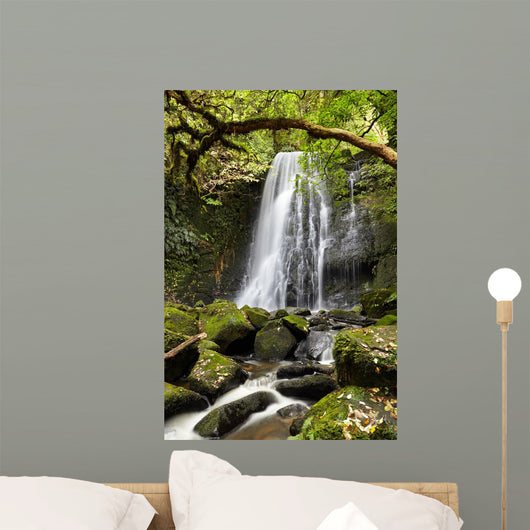Matai Falls, New Zealand Wall Mural