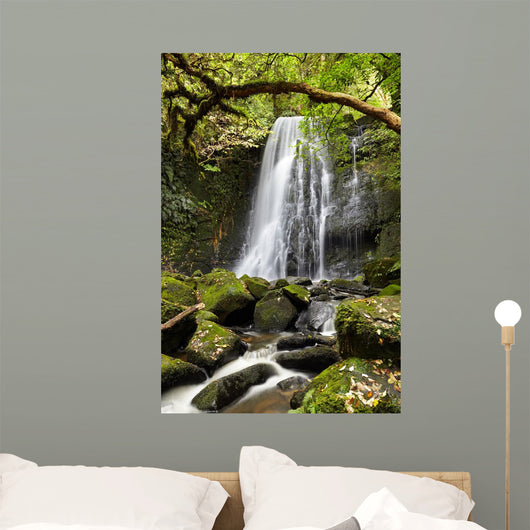 Matai Falls, New Zealand Wall Mural
