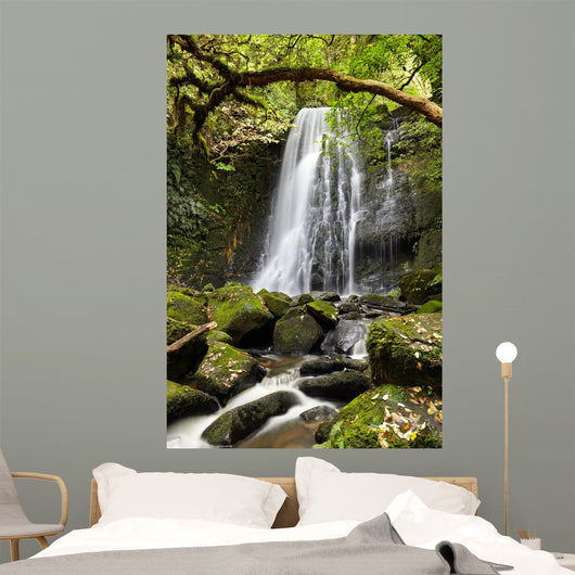 Matai Falls, New Zealand Wall Mural