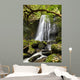 Matai Falls, New Zealand Wall Mural