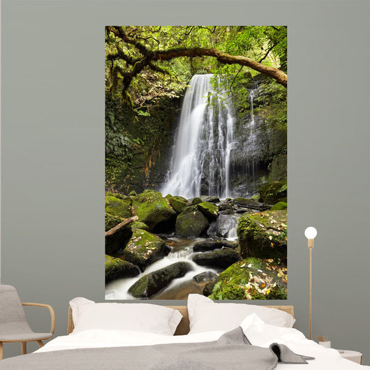 Matai Falls, New Zealand Wall Mural