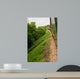 Steam Train from Window Wall Decal