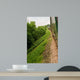 Steam Train from Window Wall Decal