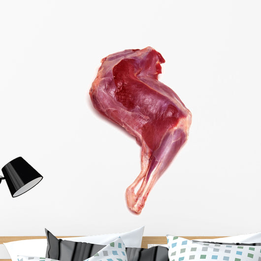 Haunch or leg of Muntjac venison meat. Wall Decal
