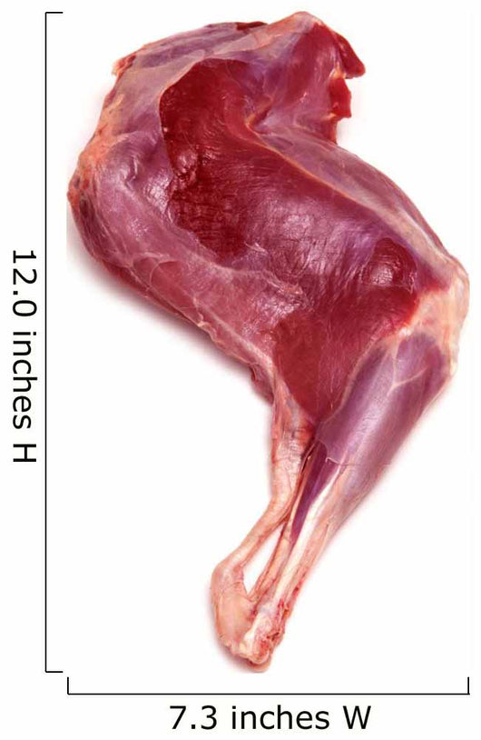 Haunch or leg of Muntjac venison meat. Wall Decal