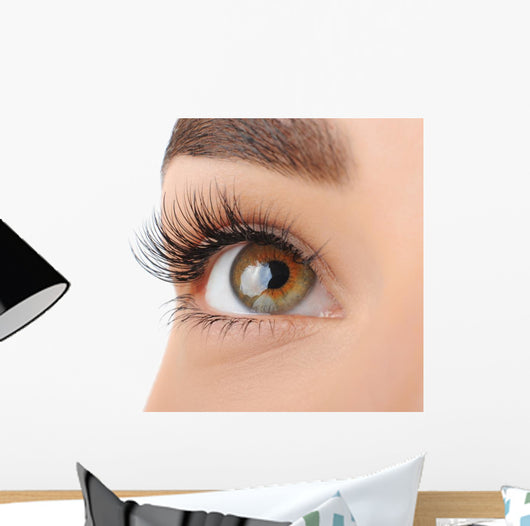 Make-up. Eyebrow Makeup. Eyes Wall Decal