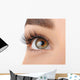 Make-up. Eyebrow Makeup. Eyes Wall Decal