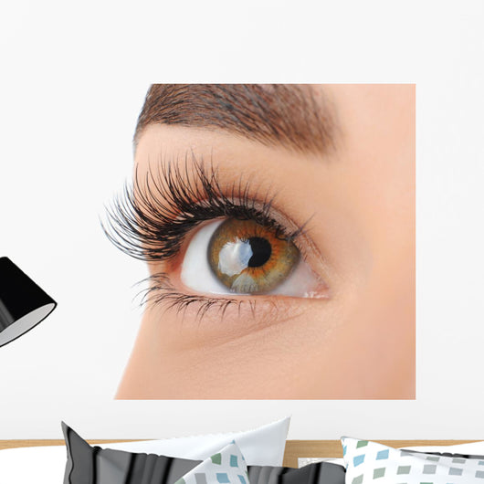 Make-up. Eyebrow Makeup. Eyes Wall Decal