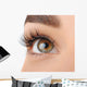Make-up. Eyebrow Makeup. Eyes Wall Decal