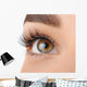 Make-up. Eyebrow Makeup. Eyes Wall Decal