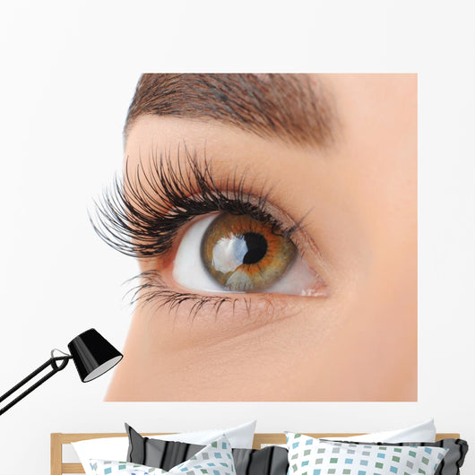 Make-up. Eyebrow Makeup. Eyes Wall Decal