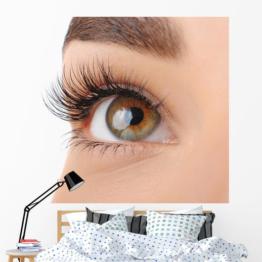 Make-up. Eyebrow Makeup. Eyes Wall Decal