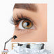 Make-up. Eyebrow Makeup. Eyes Wall Decal