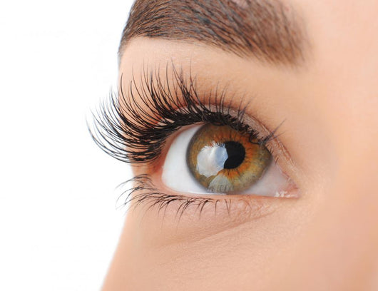 Make-Up. Eyebrow Makeup. Eyes Wall Decal