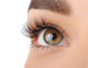 Make-Up. Eyebrow Makeup. Eyes Wall Decal