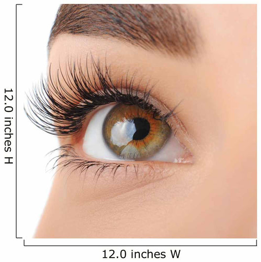 Make-up. Eyebrow Makeup. Eyes Wall Decal