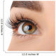 Make-up. Eyebrow Makeup. Eyes Wall Decal