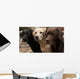 Three Colors Labrador Wall Decal