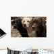 Three Colors Labrador Wall Decal