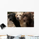 Three Colors Labrador Wall Decal