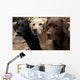 Three Colors Labrador Wall Decal