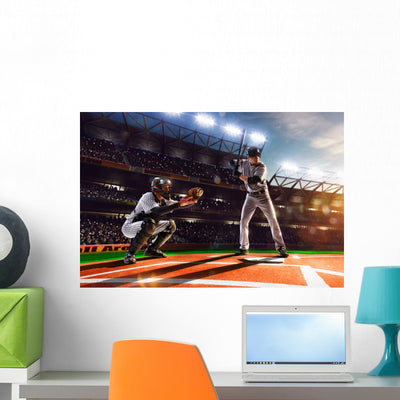 Professional Baseball Players On Grand Arena Wall Decal shown on a wall