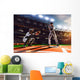 Professional baseball players on  grand arena Wall Mural
