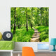 Birch forest on a sunny day. Green woods in summer Wall Mural