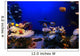 Underwater Scene Wall Mural