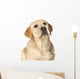 Beautiful Labrador retriever Wall Decal