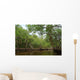 National Park Everglades Wall Mural