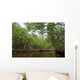 National Park Everglades Wall Mural