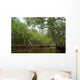 National Park Everglades Wall Mural