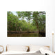 National Park Everglades Wall Mural