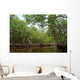 National Park Everglades Wall Mural
