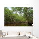 National Park Everglades Wall Mural