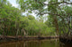 National Park Everglades Wall Decal