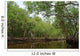 National Park Everglades Wall Mural