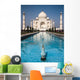 Rippling Taj Mahal Wall Mural