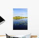 Lily Pads Everglades Wall Mural