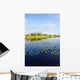 Lily Pads Everglades Wall Mural