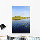 Lily Pads Everglades Wall Mural