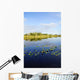Lily Pads Everglades Wall Mural
