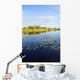 Lily Pads Everglades Wall Mural