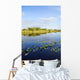 Lily Pads Everglades Wall Mural
