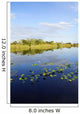 Lily Pads Everglades Wall Mural