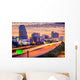 Orlando, Florida Skyline Wall Mural