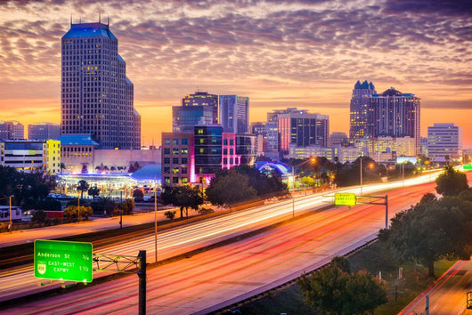 Orlando, Florida Skyline Wall Decal